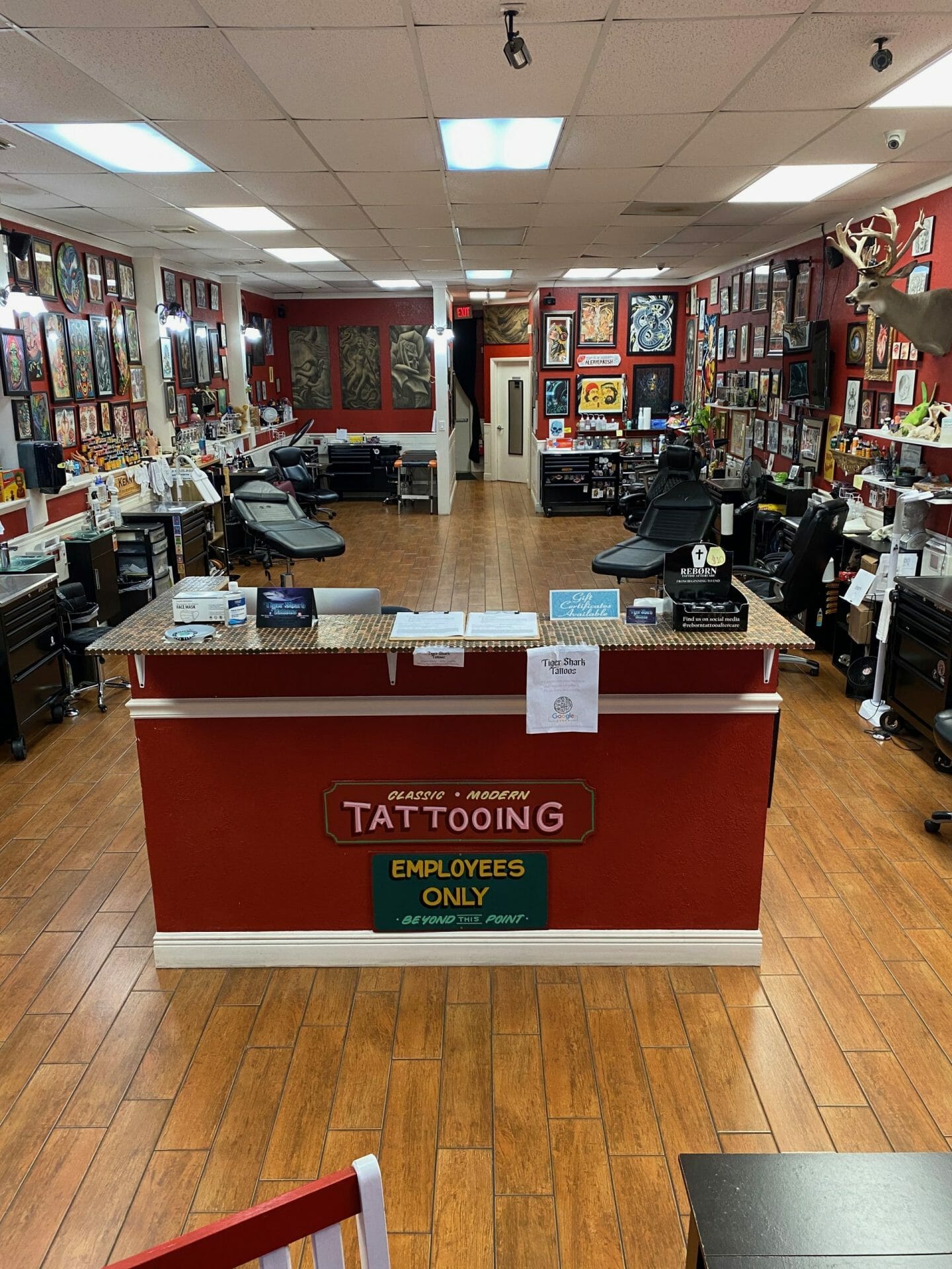 Welcome to Tiger Shark Tattoo! - Tiger Shark Tattoo Studio