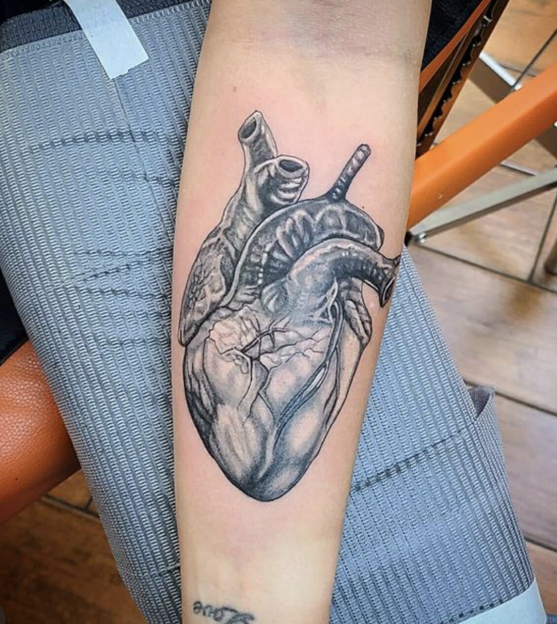 Tiger Shark Tattoo Studio